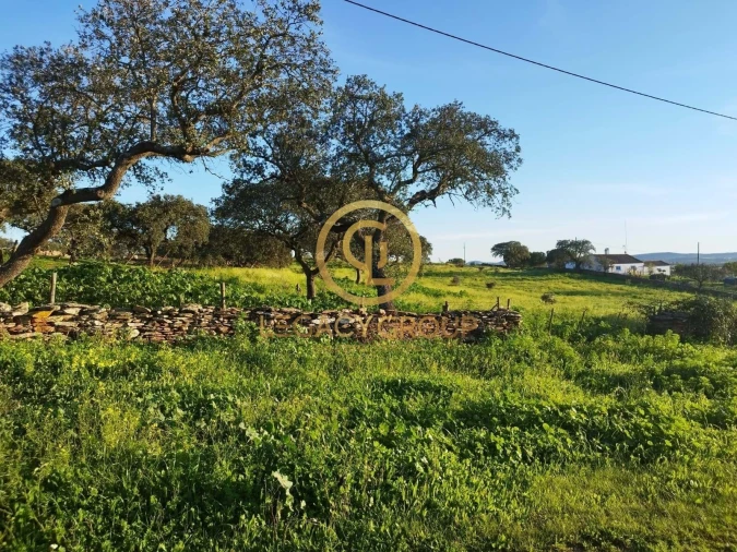 Terreno para Venda em Santiago Maior