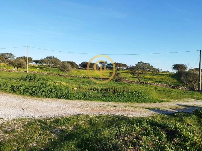 Terreno para Venda em Santiago Maior Foto 2