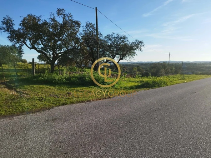 Terreno para Venda em Santiago Maior Foto 3