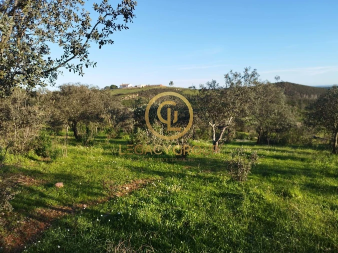 Terreno para Venda em Santiago Maior Foto 14