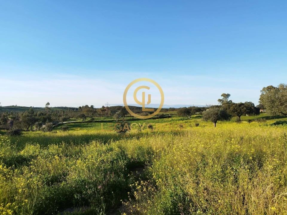 Terreno para Venda em Santiago Maior Foto 8