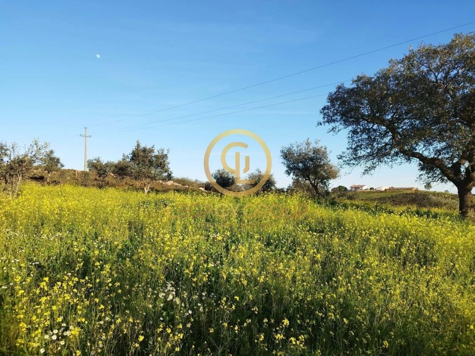 Terreno para Venda em Santiago Maior Foto 10