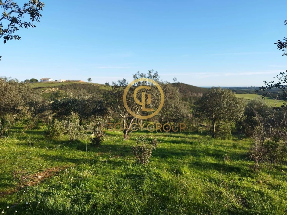 Terreno para Venda em Santiago Maior Foto 16