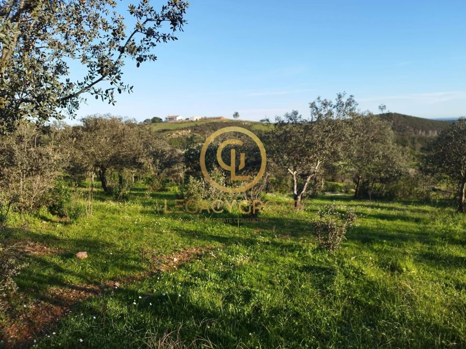 Terreno para Venda em Santiago Maior Foto 14