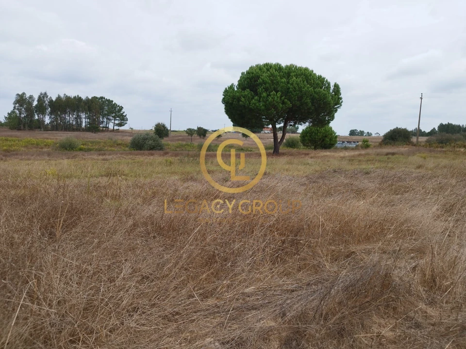 Terreno para Venda em Branca Foto 8