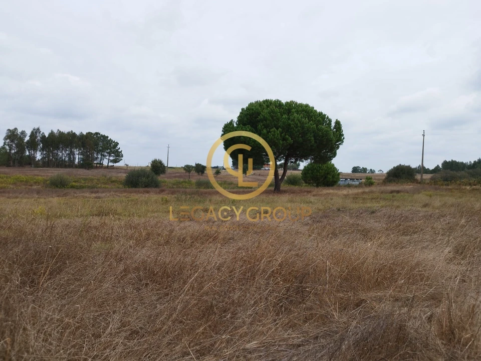 Terreno para Venda em Branca Foto 7