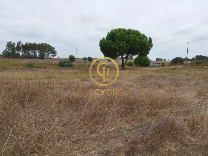 Terreno para Venda em Branca Foto 8