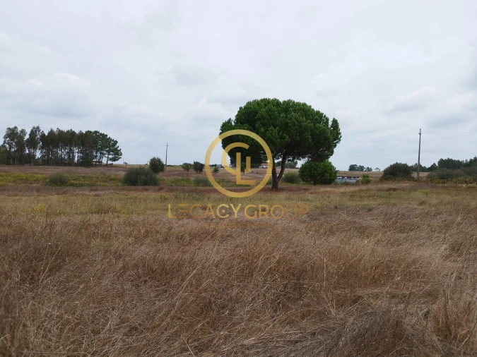 Terreno para Venda em Branca Foto 7