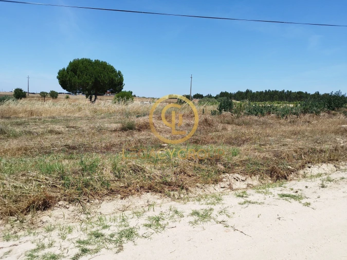 Terreno para Venda em Branca Foto 5