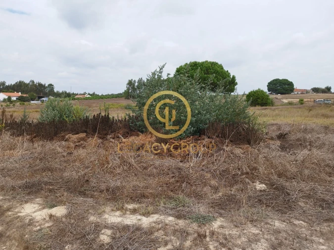 Terreno para Venda em Branca Foto 9