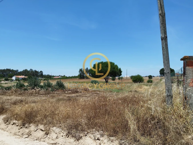 Terreno para Venda em Branca Foto 2