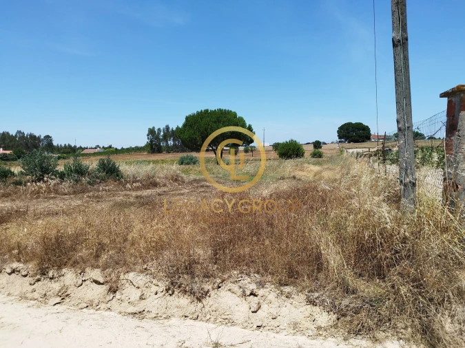 Terreno para Venda em Branca Foto 3