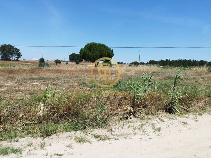 Terreno para Venda em Branca Foto 6