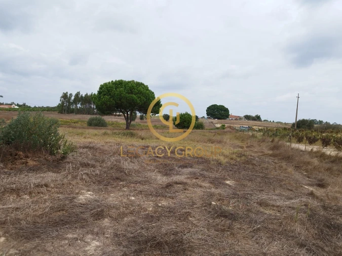 Terreno para Venda em Branca Foto 11