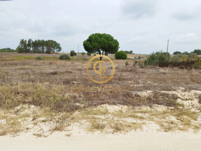 Terreno para Venda em Branca Foto 14