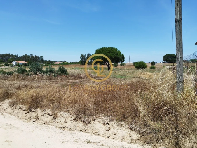 Terreno para Venda em Branca Foto 15