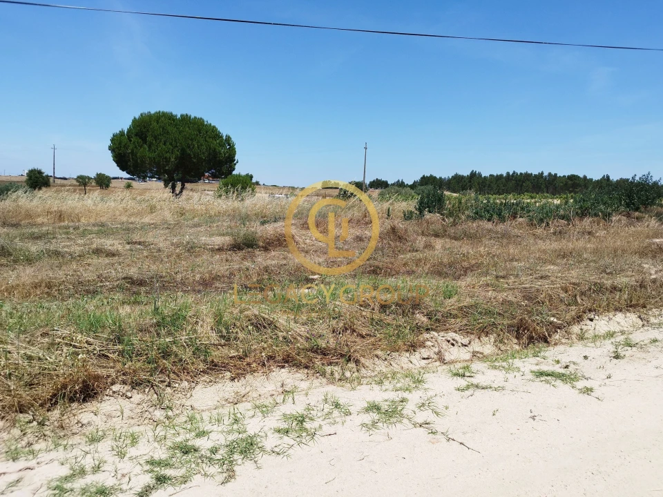 Terreno para Venda em Branca Foto 5