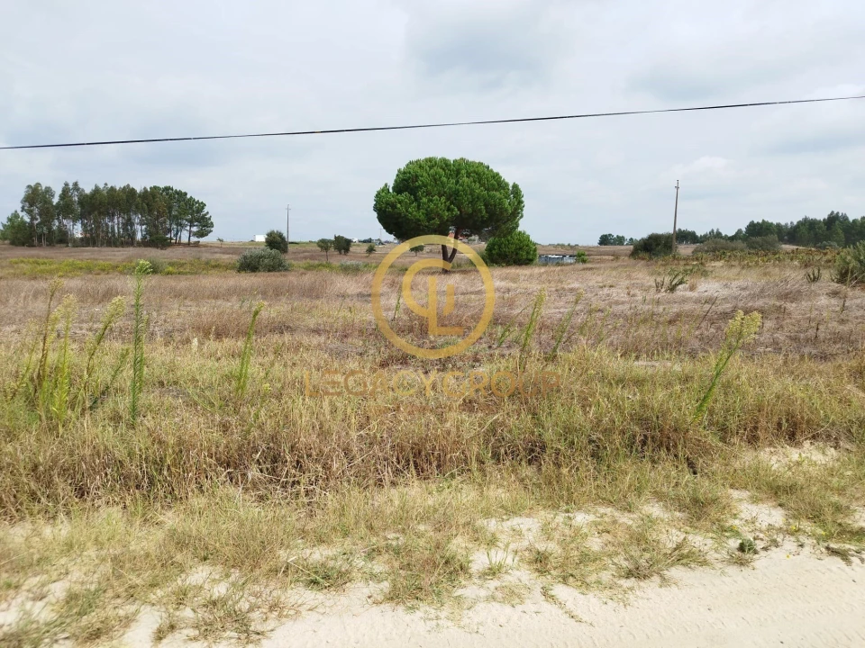 Terreno para Venda em Branca Foto 12