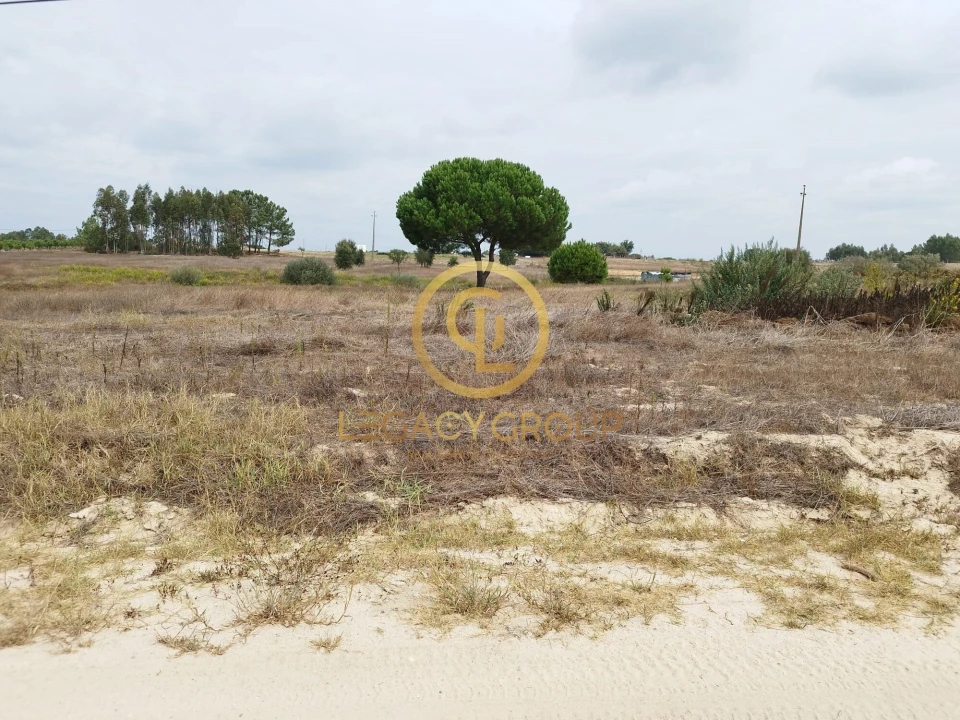 Terreno para Venda em Branca Foto 14