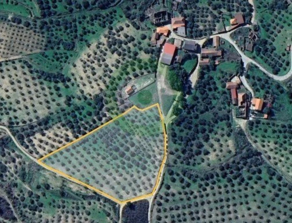 Terreno para Venda em Agua Reves e Crasto Foto 1