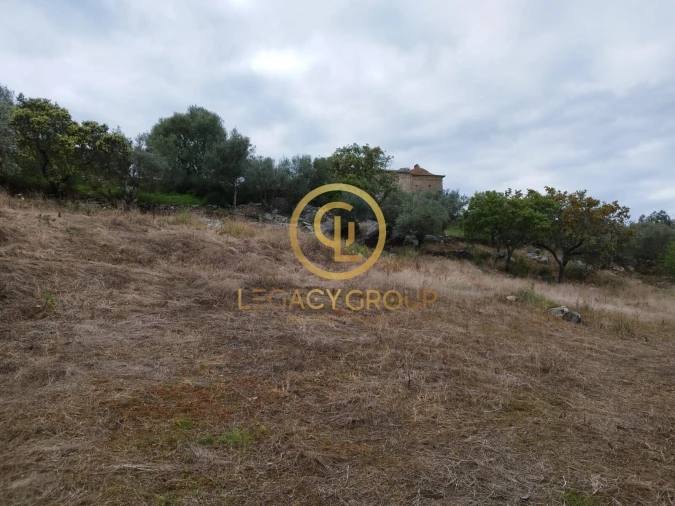 Terreno para Venda em Monsaraz Foto 11