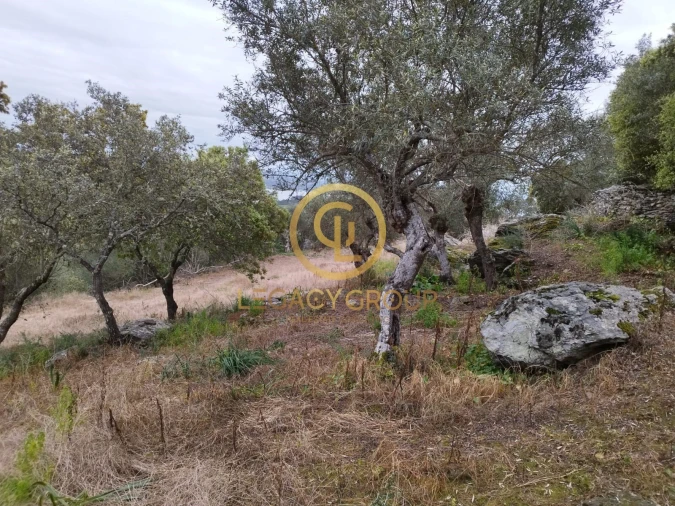 Terreno para Venda em Monsaraz Foto 10