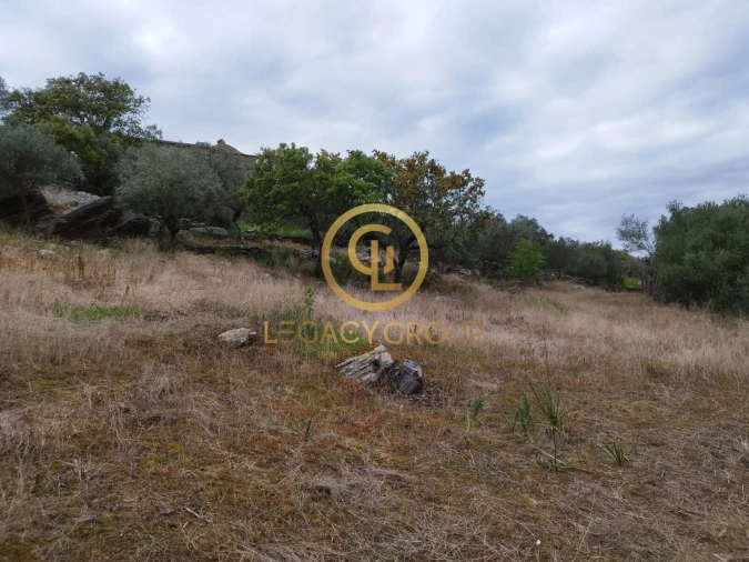 Terreno para Venda em Monsaraz Foto 8