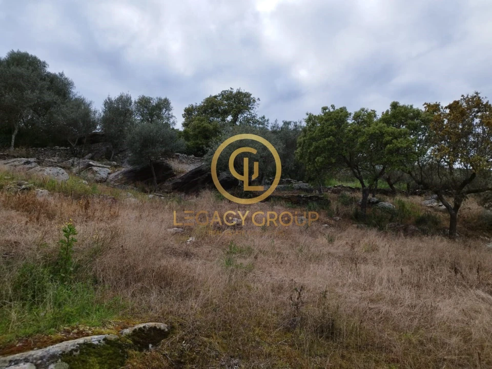 Terreno para Venda em Monsaraz Foto 6