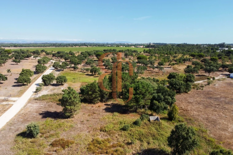 Terreno para Venda em Vila Chã de Ourique Foto 3
