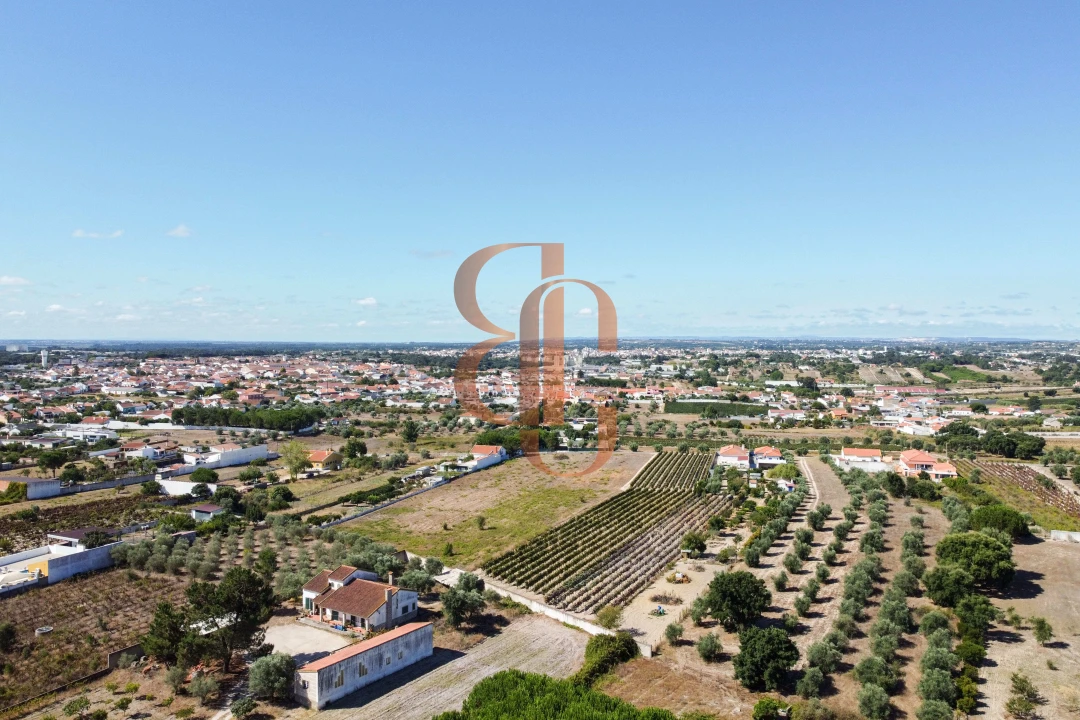 Terreno para Venda em Vila Chã de Ourique Foto 6