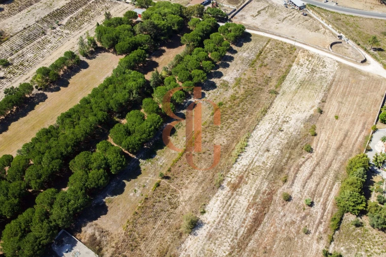 Terreno para Venda em Vila Chã de Ourique Foto 6