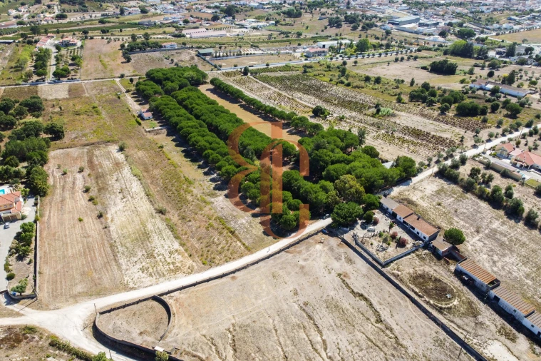 Terreno para Venda em Vila Chã de Ourique Foto 7