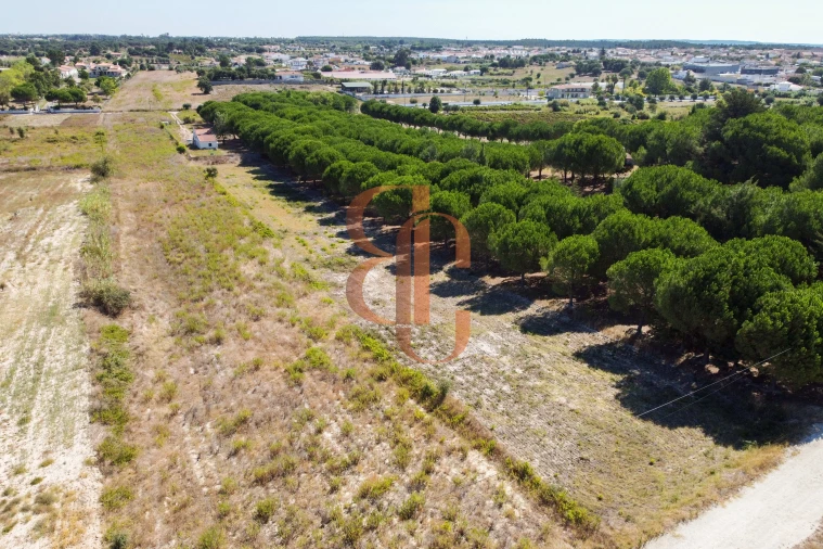Terreno para Venda em Vila Chã de Ourique Foto 3