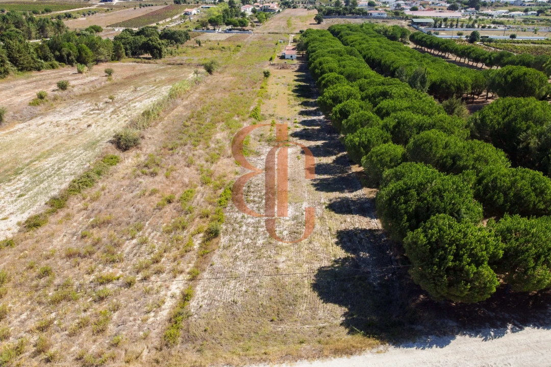 Terreno para Venda em Vila Chã de Ourique Foto 2