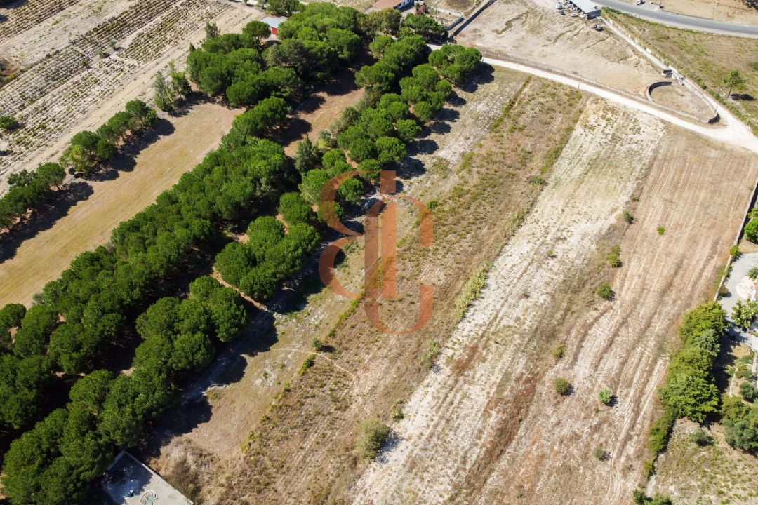 Terreno para Venda em Vila Chã de Ourique Foto 6