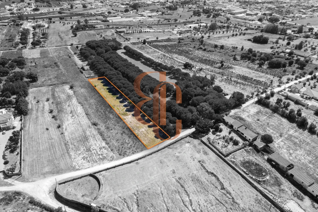Terreno para Venda em Vila Chã de Ourique Foto 1