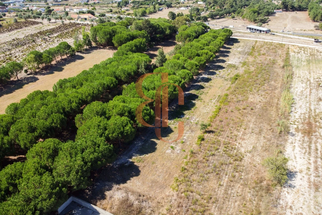 Terreno para Venda em Vila Chã de Ourique Foto 4