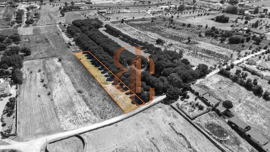 Terreno para Venda em Vila Chã de Ourique