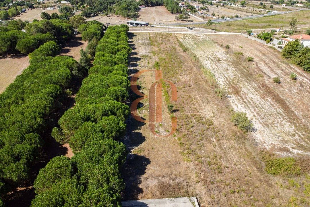 Terreno para Venda em Vila Chã de Ourique Foto 5