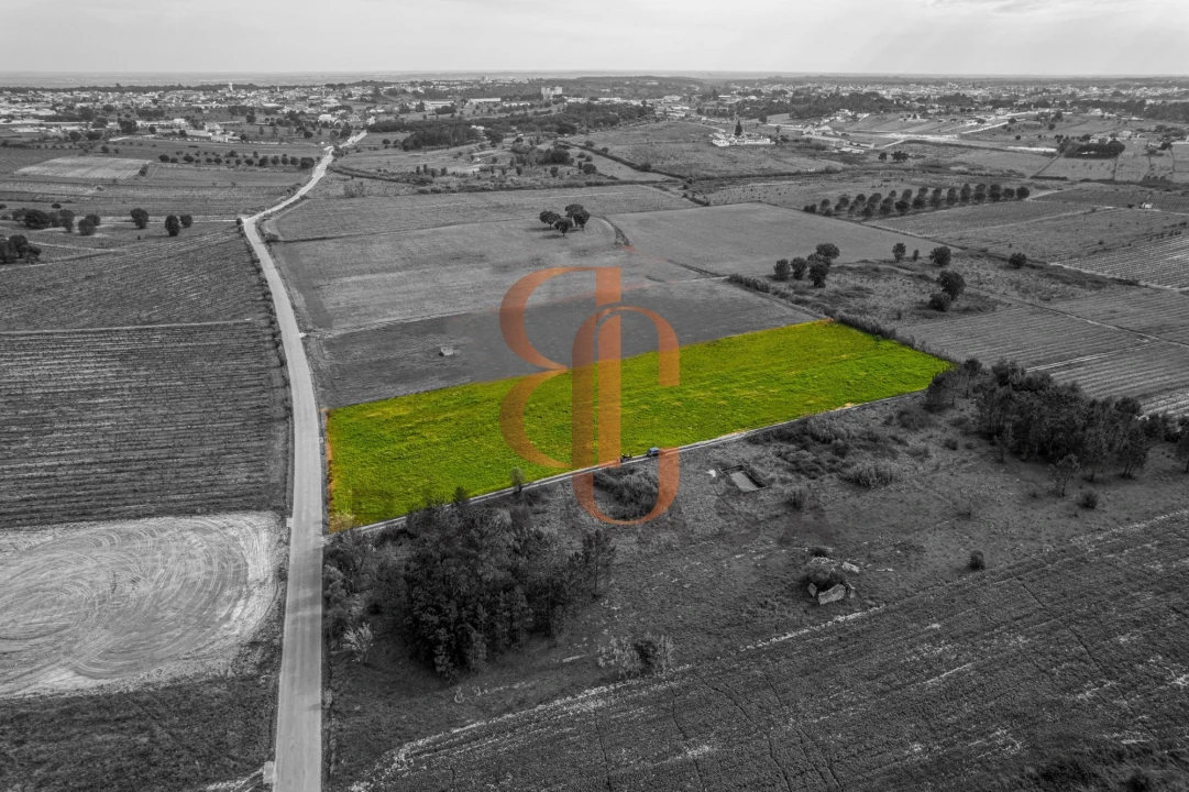 Terreno para Venda em Vila Chã de Ourique Foto 1