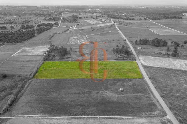 Terreno para Venda em Vila Chã de Ourique Foto 2