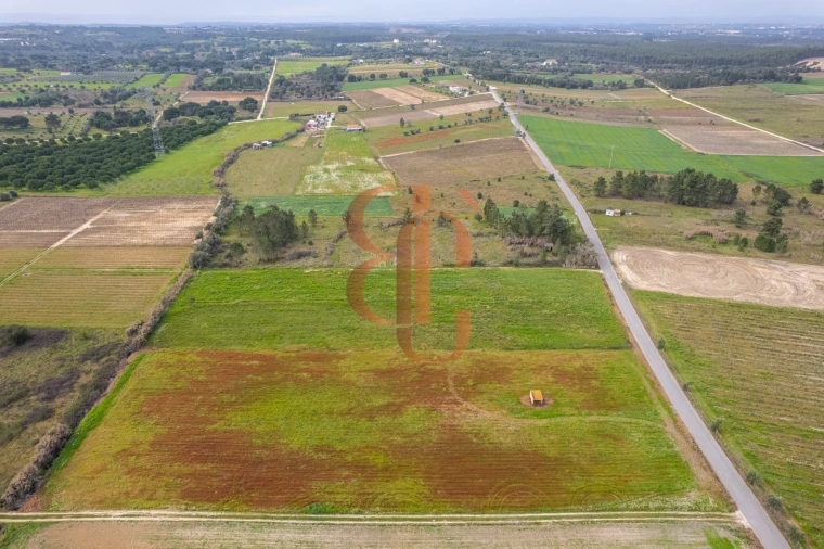 Terreno para Venda em Vila Chã de Ourique Foto 3