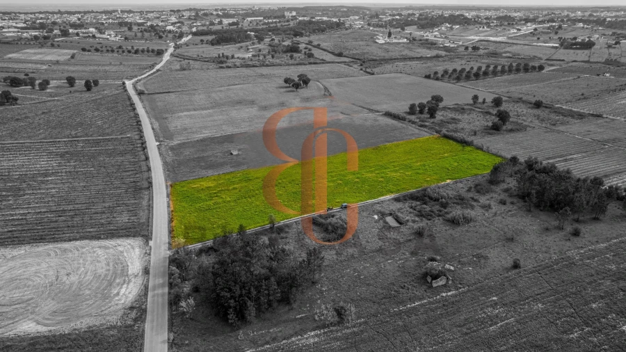 Terreno para Venda em Vila Chã de Ourique