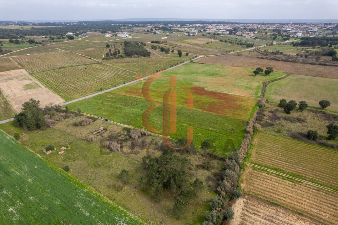Terreno para Venda em Vila Chã de Ourique Foto 4
