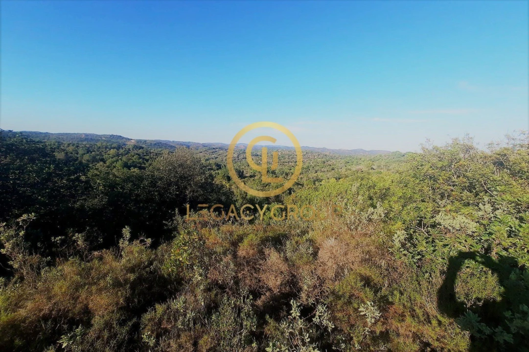 Terreno para Venda em Luz de Tavira e Santo Estêvão Foto 15