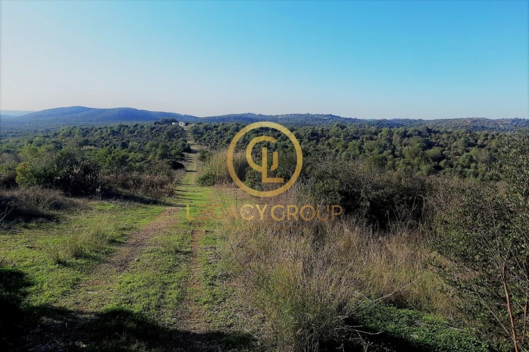 Terreno para Venda em Luz de Tavira e Santo Estêvão Foto 16