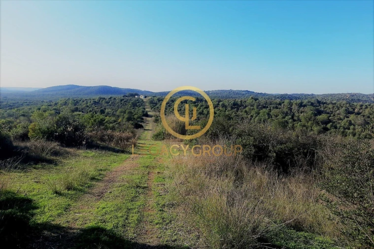 Terreno para Venda em Luz de Tavira e Santo Estêvão Foto 12
