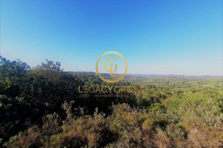 Terreno para Venda em Luz de Tavira e Santo Estêvão Foto 7