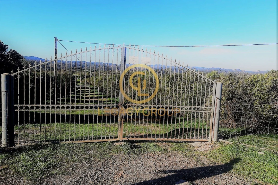 Terreno para Venda em Luz de Tavira e Santo Estêvão Foto 11