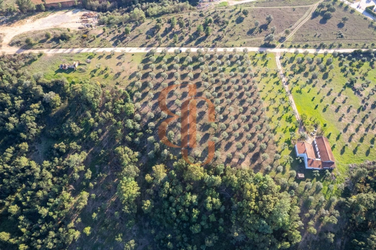 Terreno para Venda em Brogueira, Parceiros de Igreja e Alcorochel Foto 2